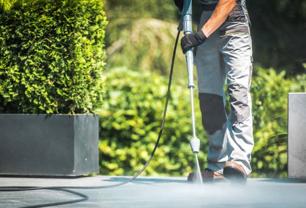 Professional Pressure Washing Services in Kenova, WV